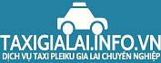 Taxi gia lai